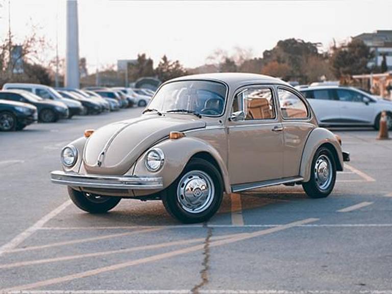 vw-kaefer-xs.jpg